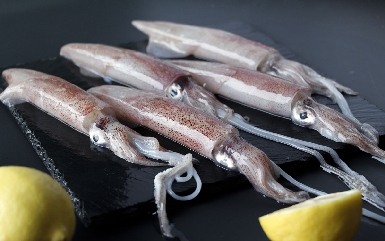 整只本港魷魚(yú) 整只本港魷魚(yú)